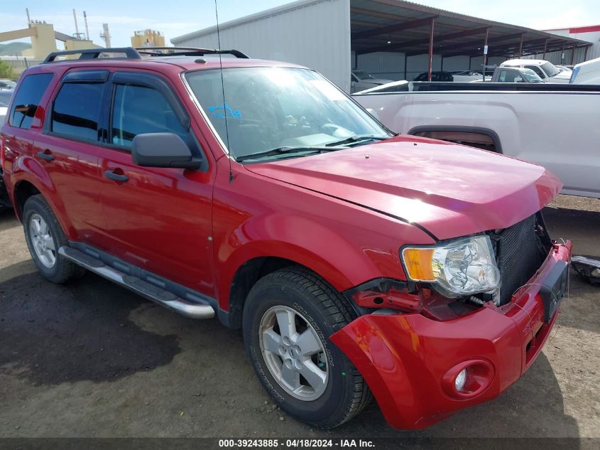 2010 FORD ESCAPE XLT