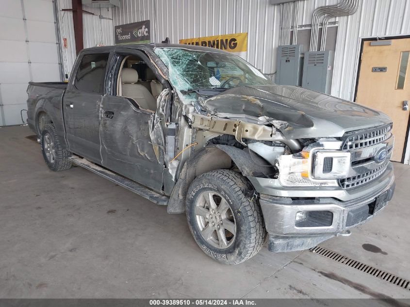 2019 FORD F-150 XLT