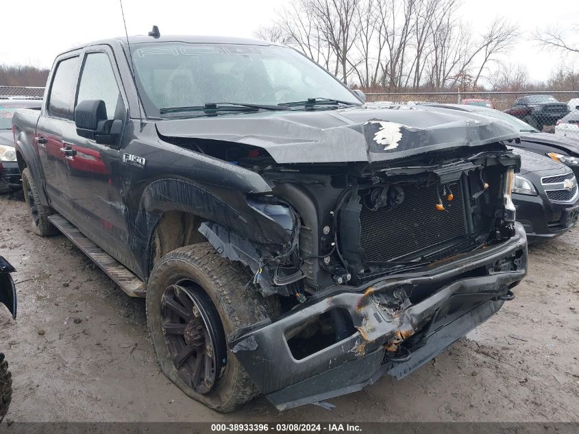 2019 FORD F-150 XLT