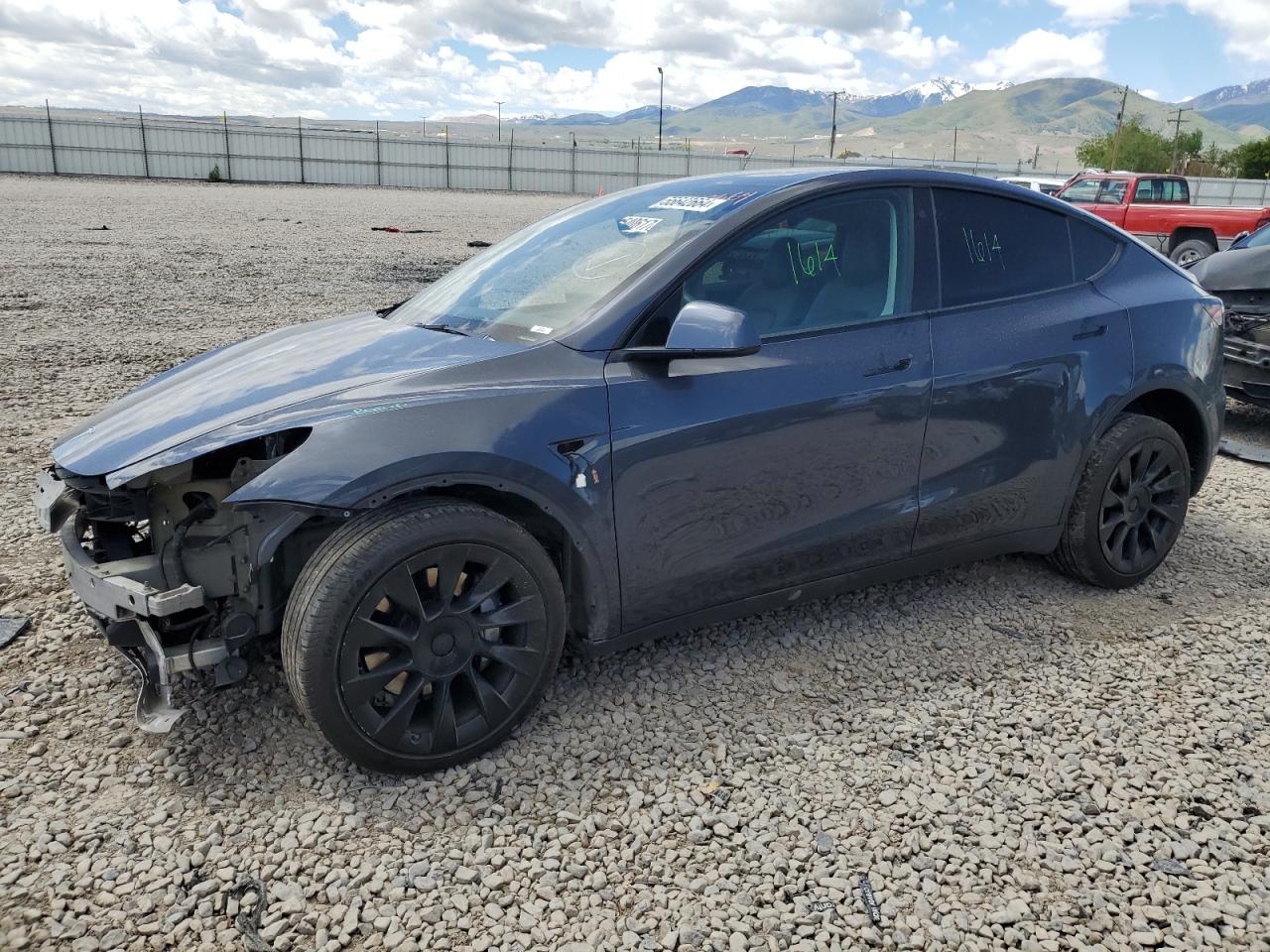 2021 TESLA MODEL Y