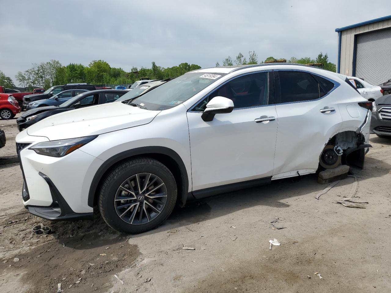 2024 LEXUS NX 350 PREMIUM