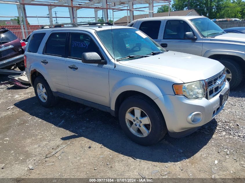 2012 FORD ESCAPE XLT