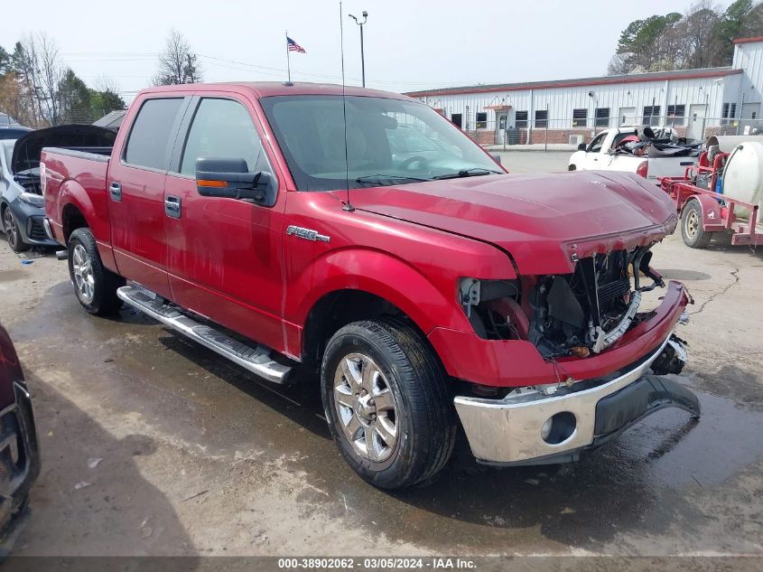 2013 FORD F-150 XLT