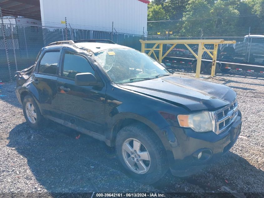 2010 FORD ESCAPE XLT