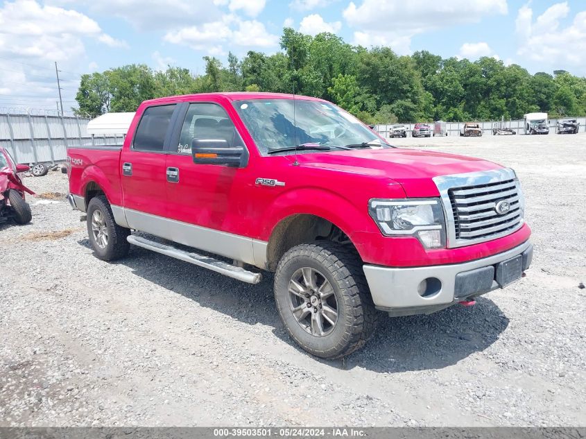 2010 FORD F-150 XL/XLT