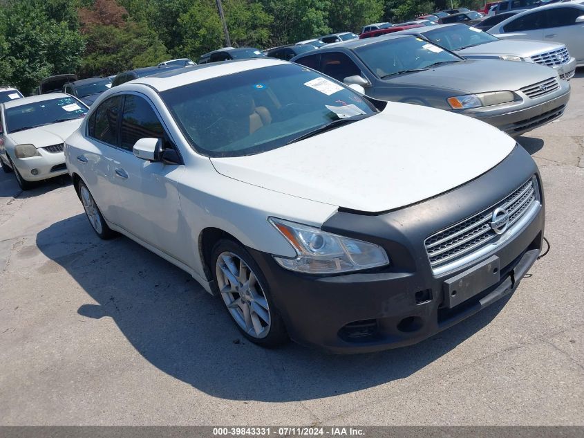 2011 NISSAN MAXIMA 3.5 SV