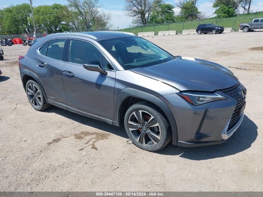 2019 LEXUS UX 250H