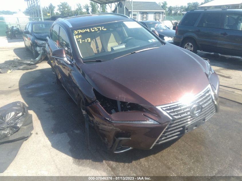 2019 LEXUS NX 300