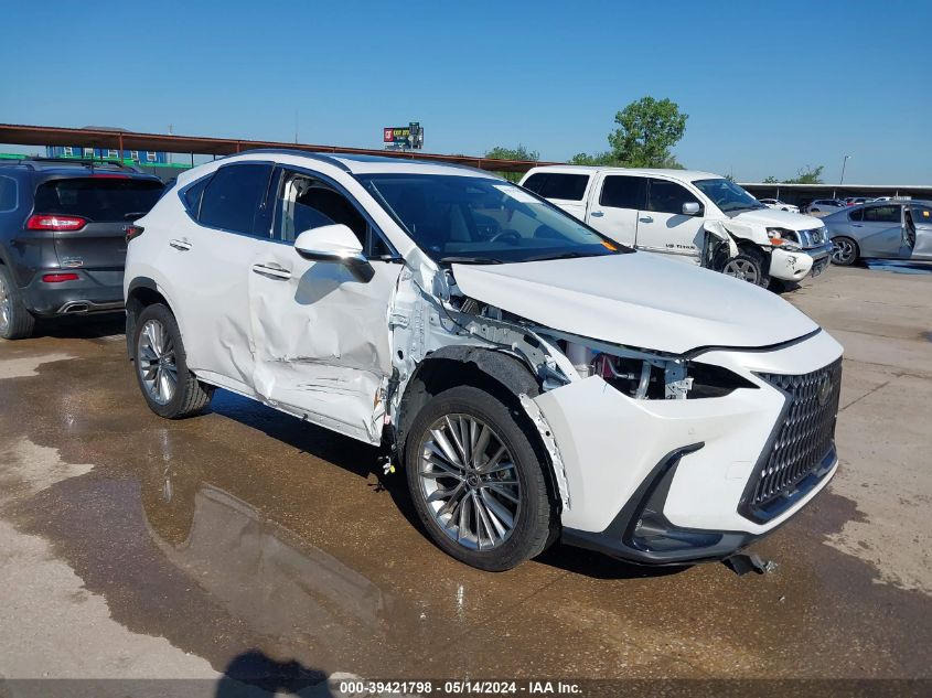 2023 LEXUS NX 350H PREMIUM