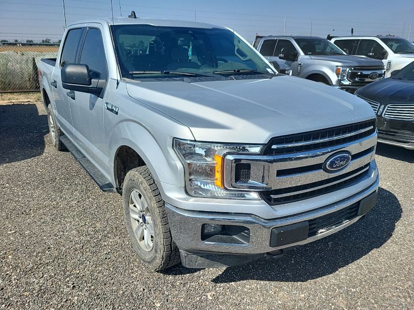 2019 FORD F-150 XLT