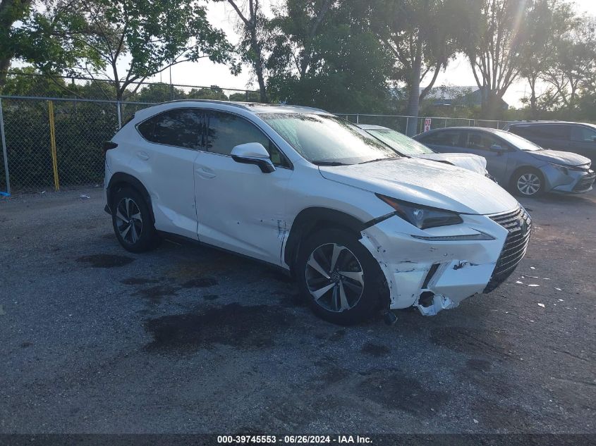 2018 LEXUS NX 300/BASE/F SPORT