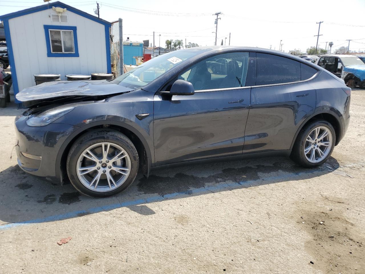 2024 TESLA MODEL Y