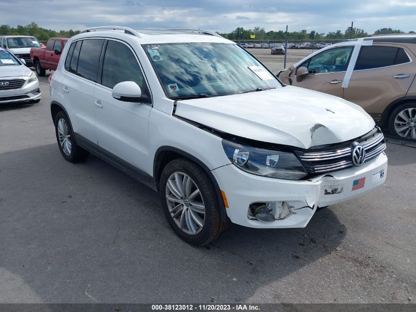 2013 VOLKSWAGEN TIGUAN SE