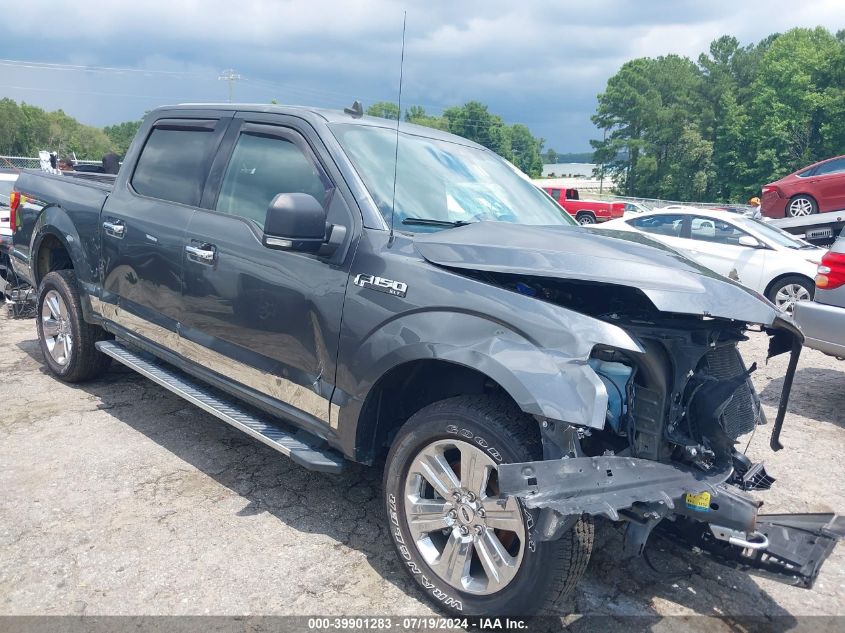 2019 FORD F-150 XLT