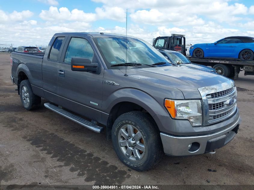 2014 FORD F-150 XLT