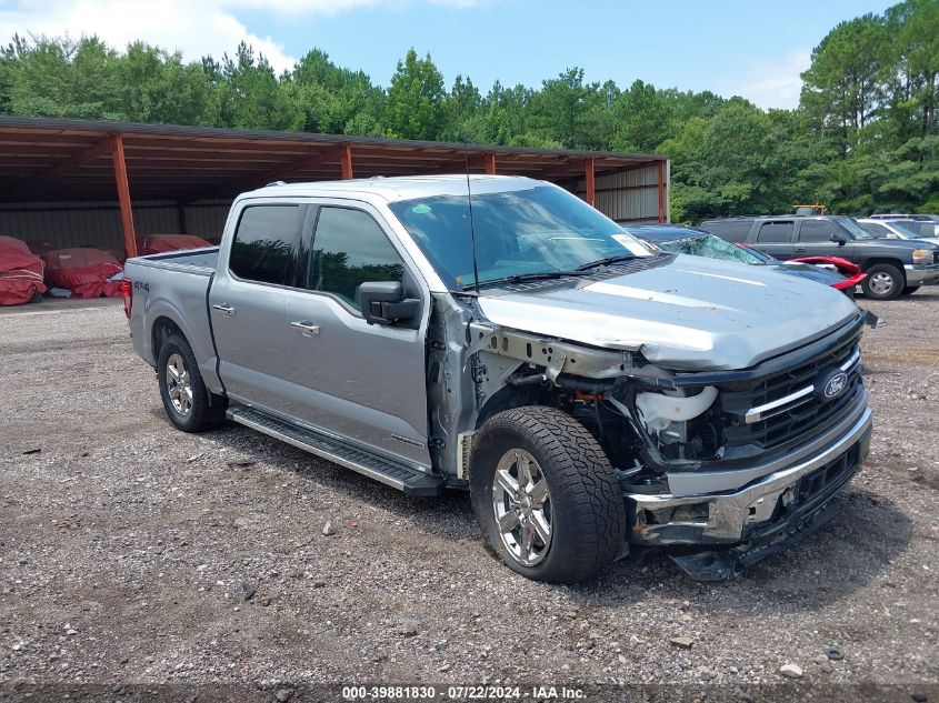 2024 FORD F150 XLT