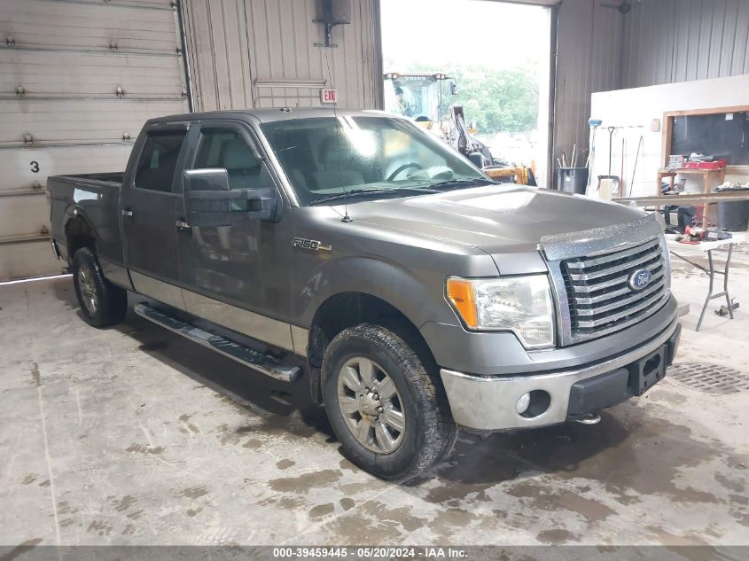 2010 FORD F-150 FX4/HARLEY-DAVIDSON/KING RANCH/LARIAT/PLATINUM/XL/XLT