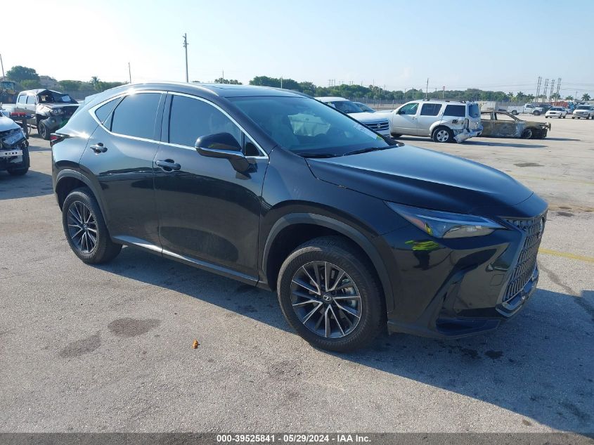 2024 LEXUS NX 250