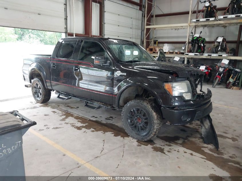 2010 FORD F-150 FX4/HARLEY-DAVIDSON/KING RANCH/LARIAT/PLATINUM/XL/XLT