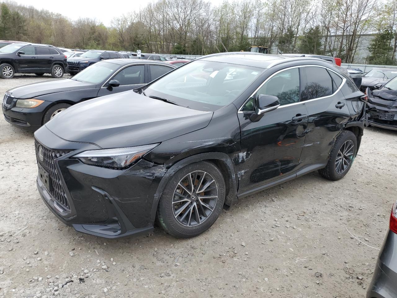 2024 LEXUS NX 250 PREMIUM