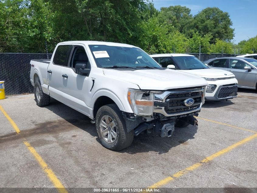 2023 FORD F-150 XLT