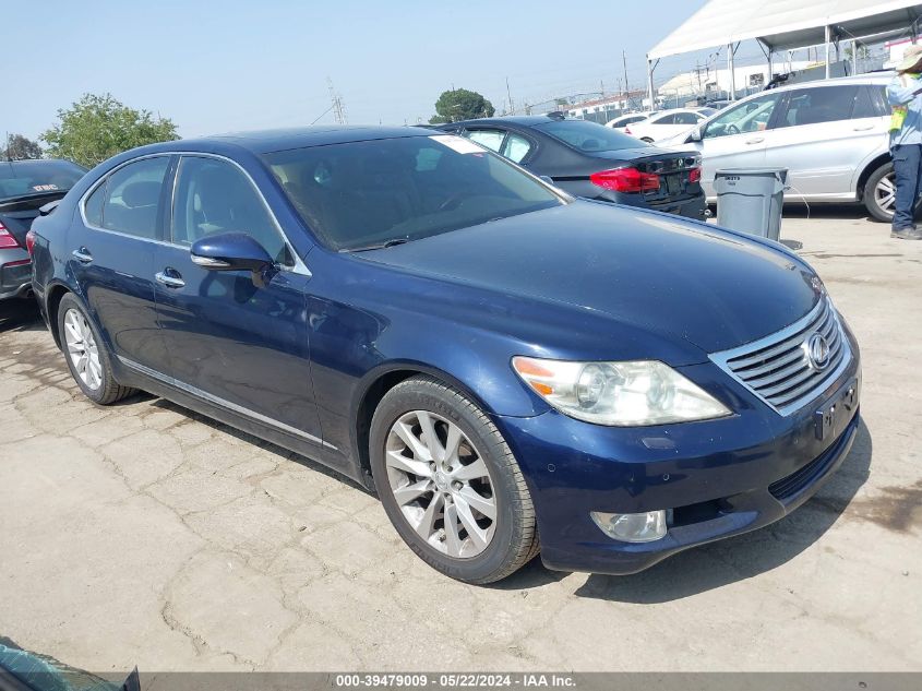 2010 LEXUS LS 460