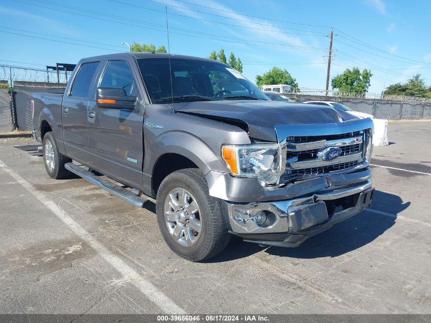 2013 FORD F-150 XLT