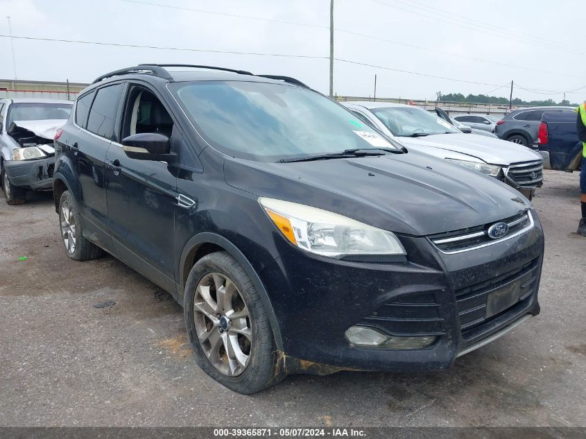 2013 FORD ESCAPE SEL