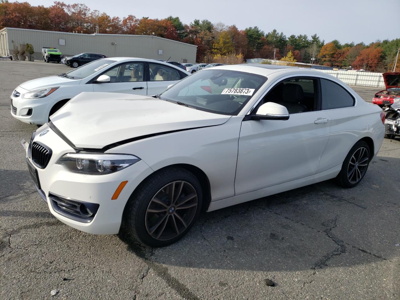 2020 BMW 230XI