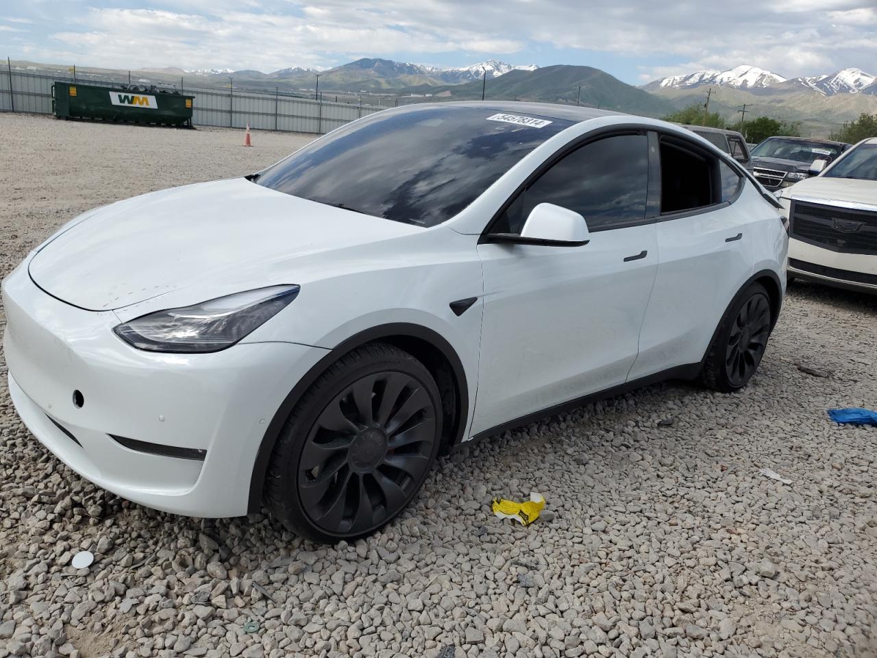 2022 TESLA MODEL Y