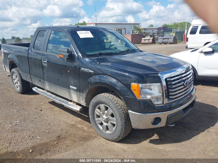 2011 FORD F-150 XLT