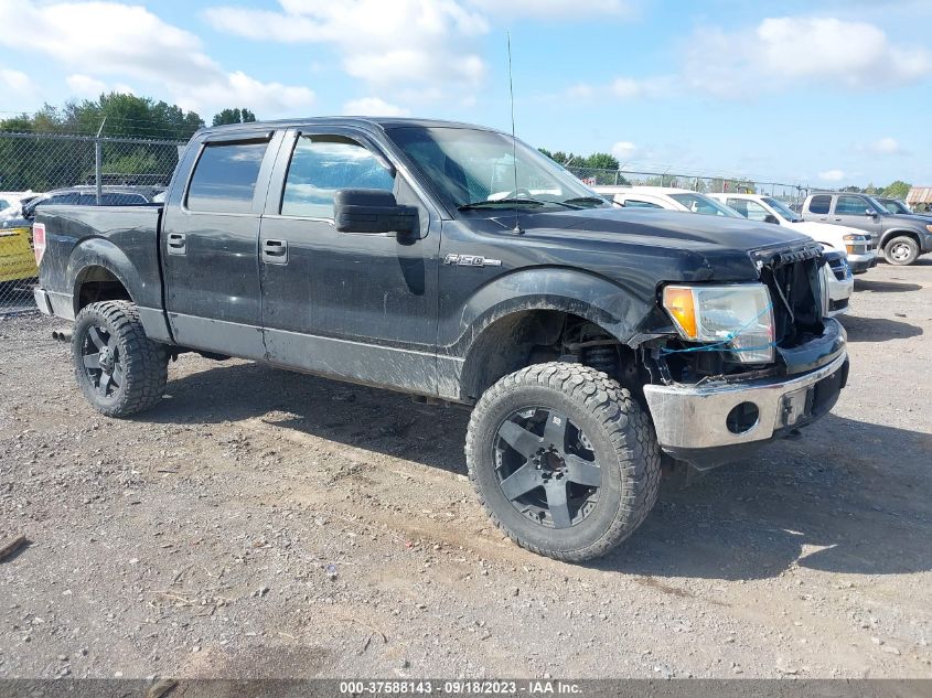 2011 FORD F-150 XLT