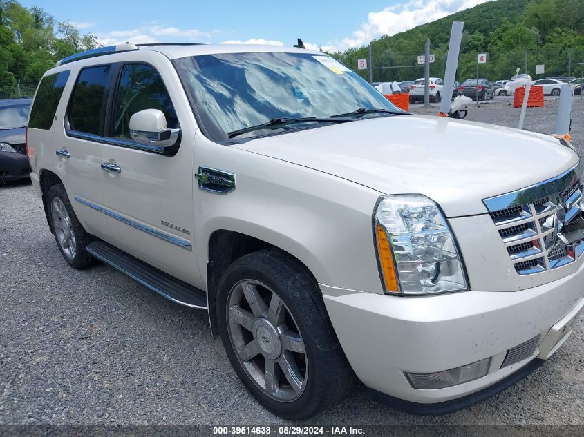 2010 CADILLAC ESCALADE HYBRID STANDARD