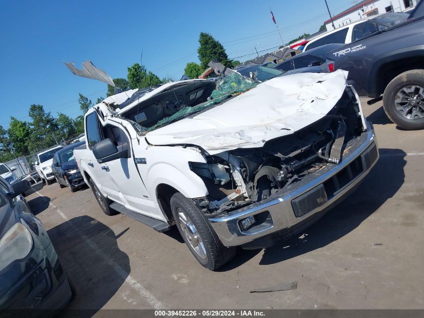 2015 FORD F-150 XLT