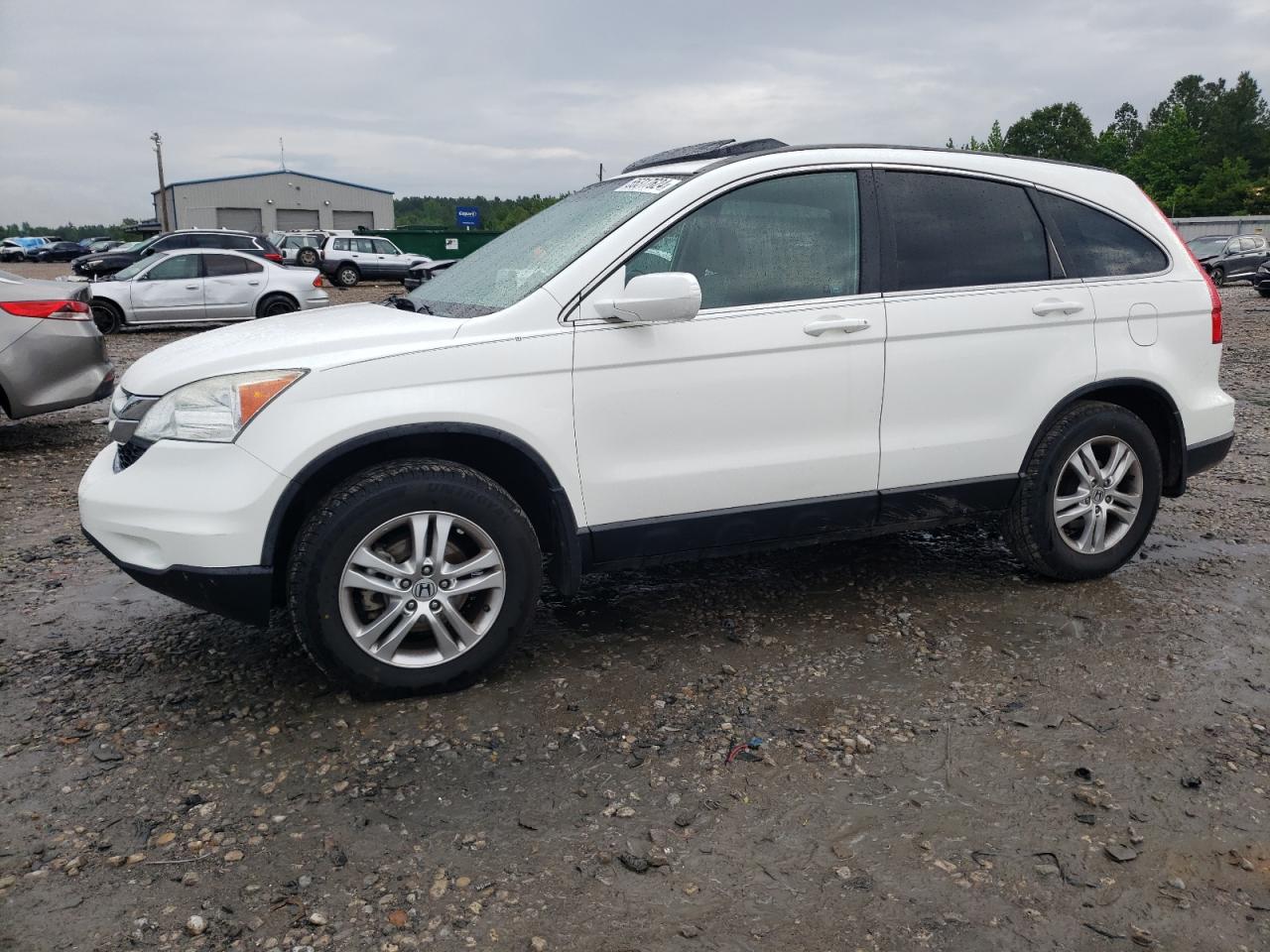 2010 HONDA CR-V EXL