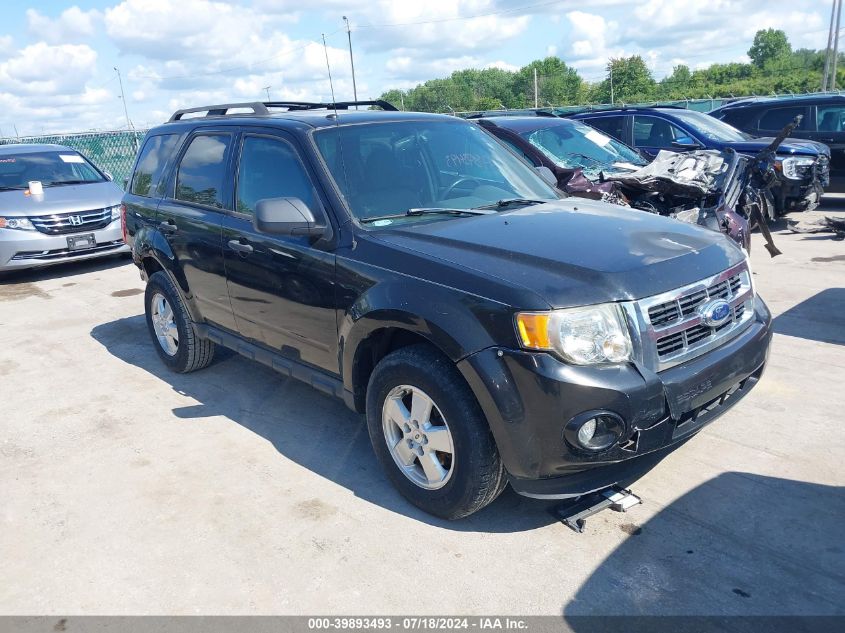 2011 FORD ESCAPE XLT