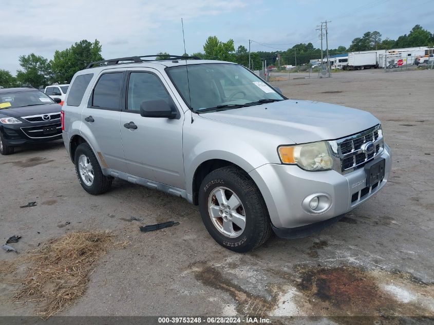 2010 FORD ESCAPE XLT