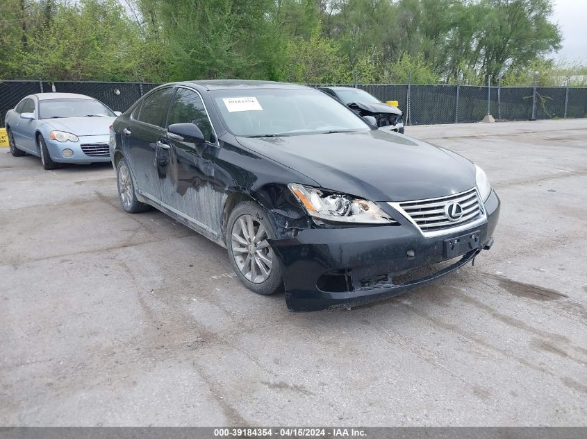 2010 LEXUS ES 350