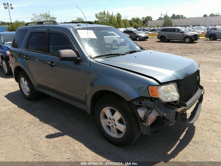 2011 FORD ESCAPE XLT