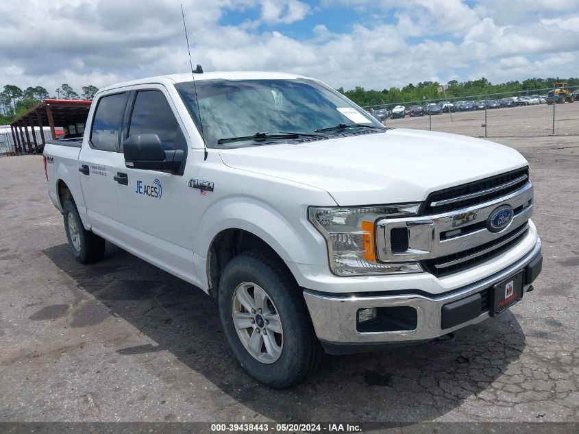 2019 FORD F-150 XLT