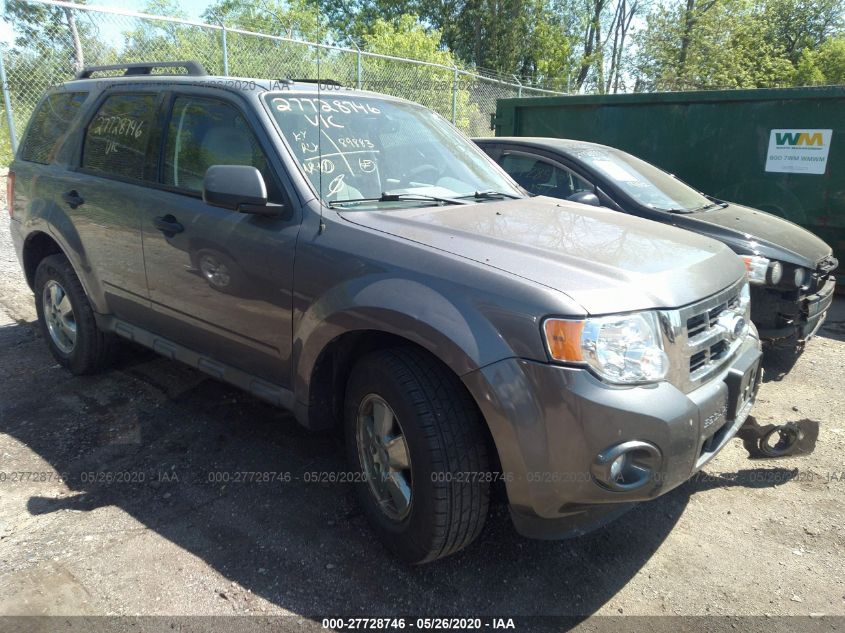 2010 FORD ESCAPE XLT