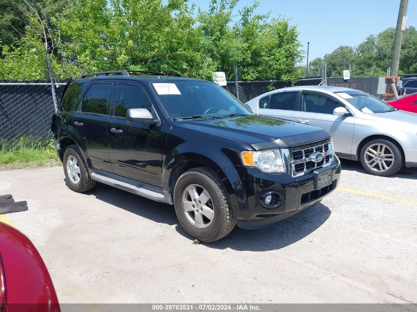 2010 FORD ESCAPE XLT