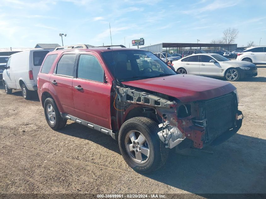 2010 FORD ESCAPE XLT