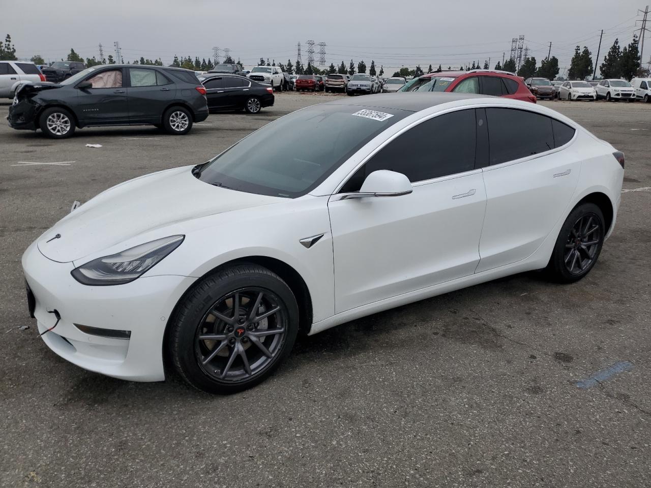 2019 TESLA MODEL 3