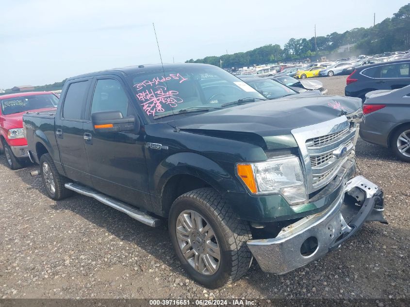 2013 FORD F-150 XLT