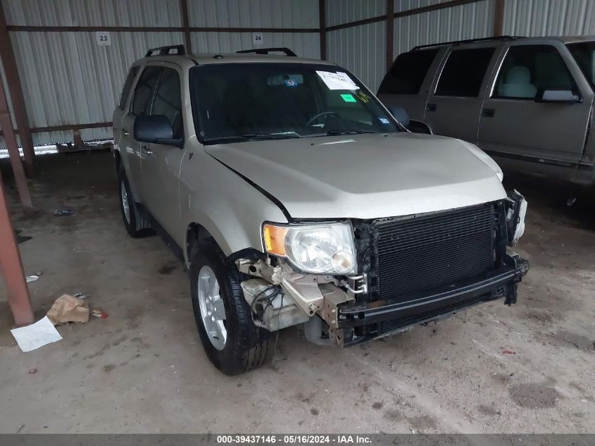 2010 FORD ESCAPE XLT