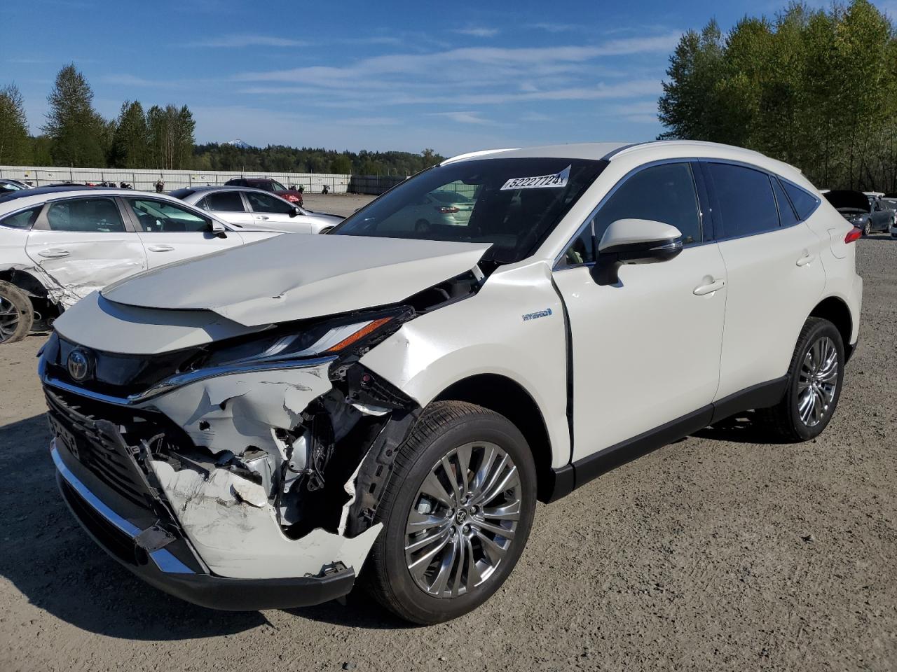 2021 TOYOTA VENZA LE