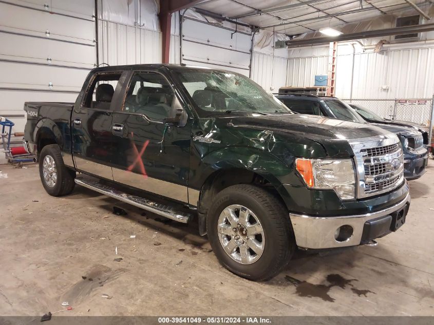 2013 FORD F-150 XLT