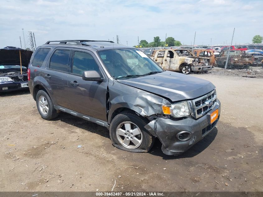 2011 FORD ESCAPE XLT