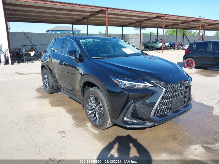 2024 LEXUS NX 350H PREMIUM